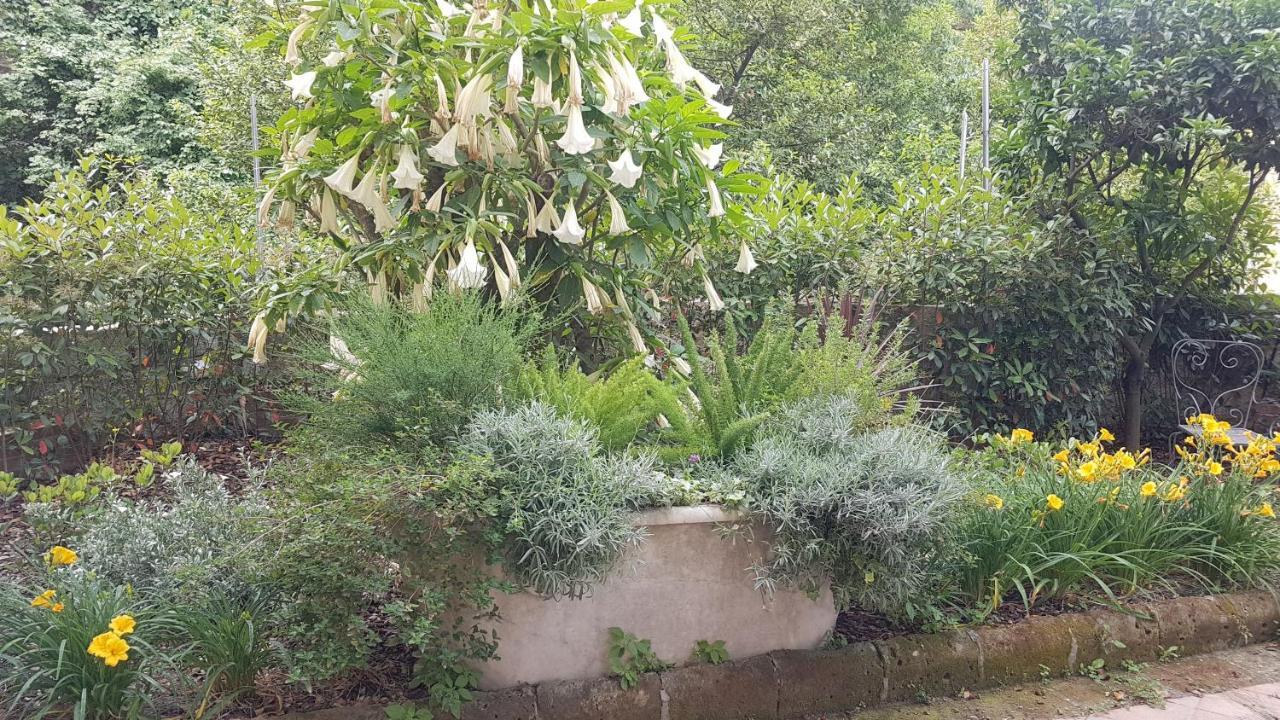 Dimora Storica "Le Stanze Di Dioniso" Βίλα Νάπολη Εξωτερικό φωτογραφία